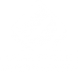 DEAR SPIELE Inc.